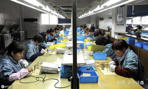初入工廠的迷茫與探索 工作強度、氛圍與個人發展的思考